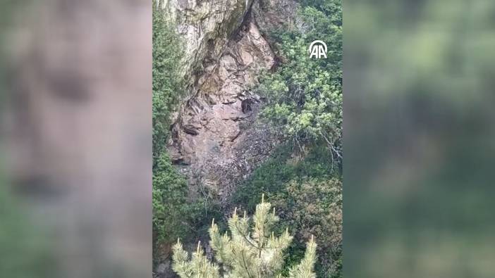 Karabük’te ayı böyle görüntülendi