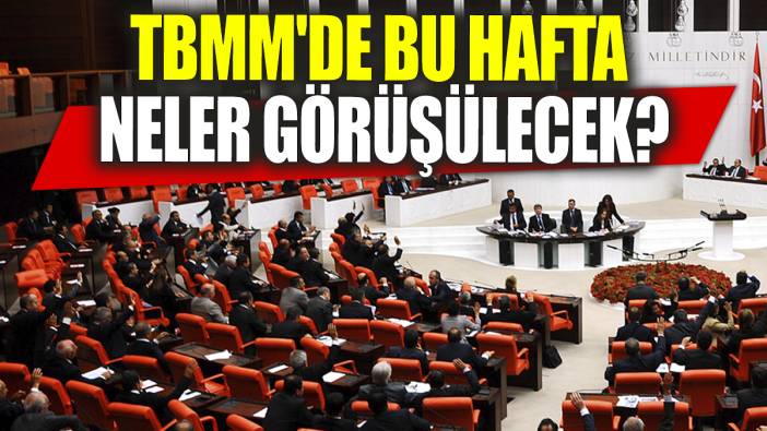 TBMM'de bu hafta neler görüşülecek?