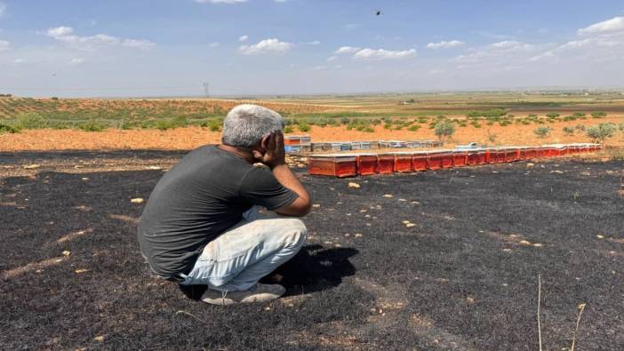 Şanlıurfa'da çıkan yangında binlerce bal arısı telef oldu