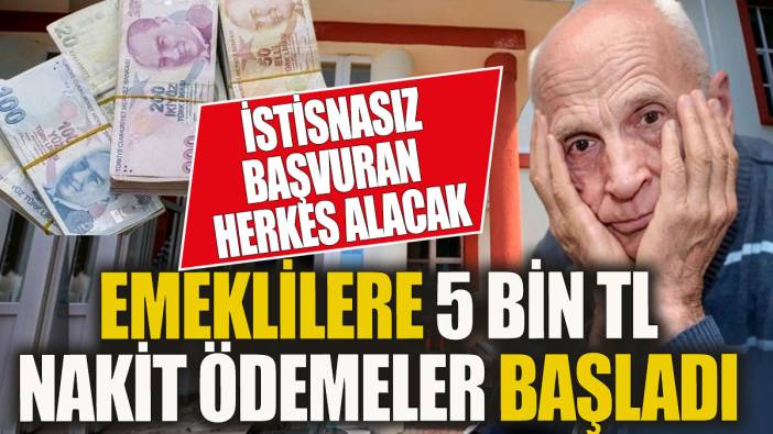 5000 TL'lik pazar yardımı başladı! Başvuran tüm emekliler istinasız alacak