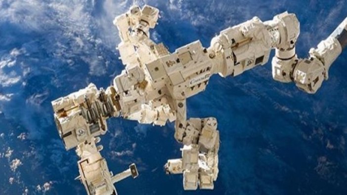 Uzaydaki küf sporları çok yüksek radyasyondan etkilenmiyor