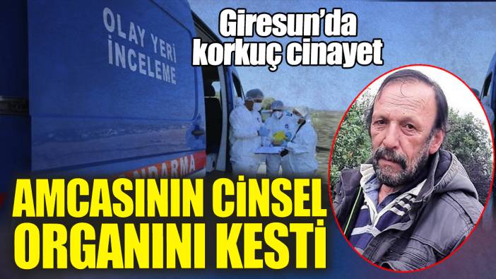 Amcasının cinsel organını kesti! Giresun'da korkunç cinayet