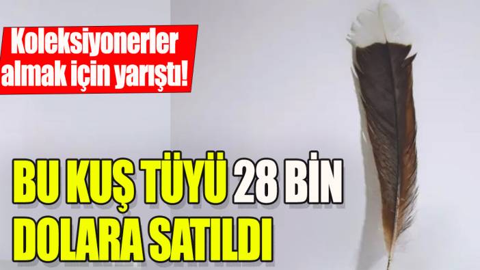 Bu kuş tüyü 28 bin dolara satıldı: Koleksiyonerler almak için yarıştı!