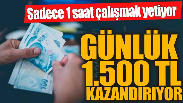 Sadece 1 saat çalışmak yetiyor! Günlük 1.500 TL kazandırıyor