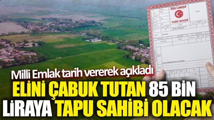 Milli Emlak tarih vererek açıkladı! Elini çabuk tutan 85 bin liraya tapu sahibi olacak