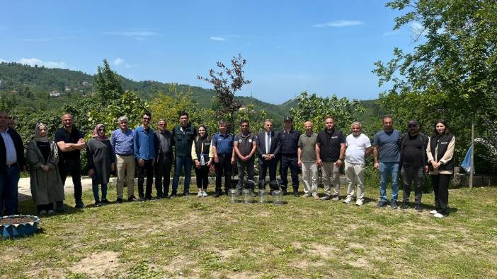 Kahverengi Kokarcaya tuzak projesi uygulamaya geçti