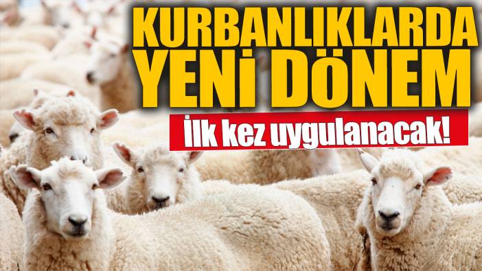 Kurban Bayramı öncesinde ilk kez uygulanacak! Kurbanlıklarda yeni dönem