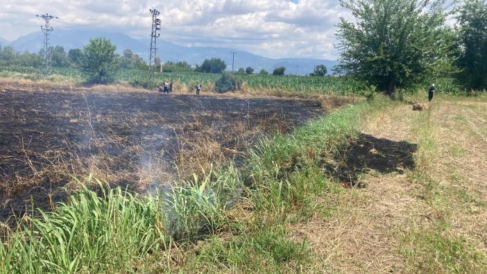 Osmaniye’de yangın ‘7 dönüm tarla zarar gördü’