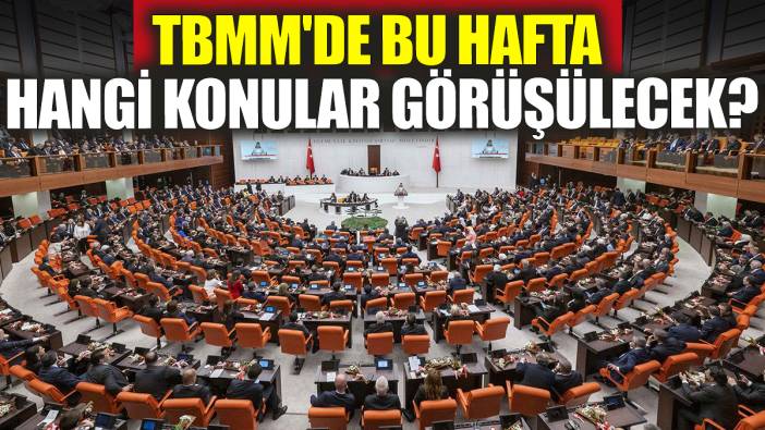 TBMM'de bu hafta hangi konular görüşülecek?