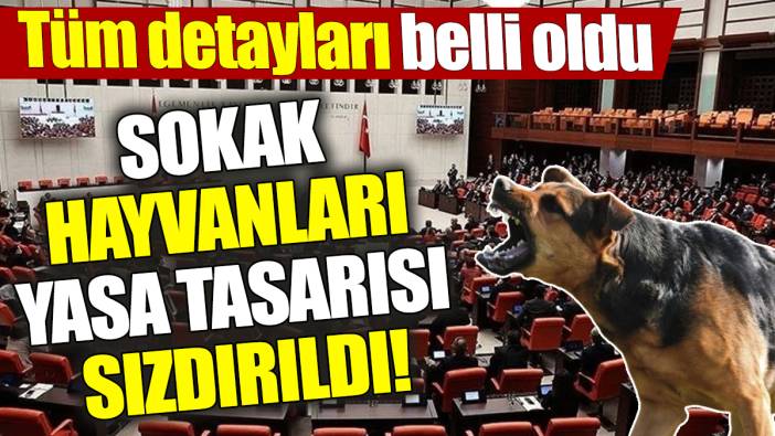 Sokak hayvanları yasa tasarısı sızdırıldı! Tüm detayları belli oldu