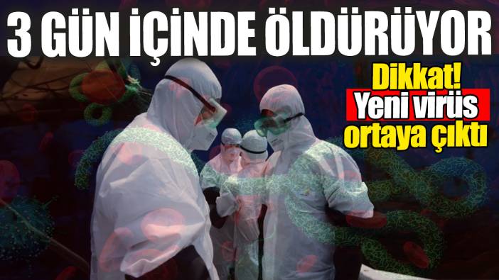 3 gün içinde öldüren yeni virüs ortaya çıktı