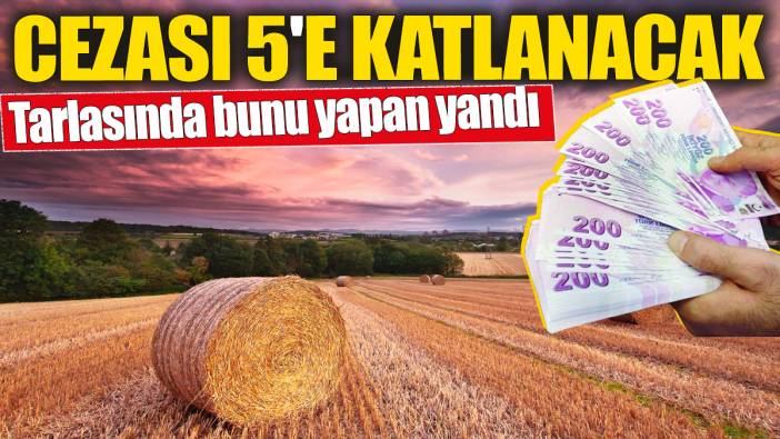 Tarlasında bunu yapan yandı! Cezası 5'e katlanacak