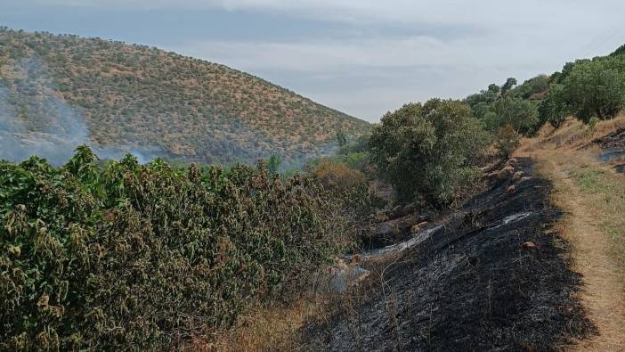 Mardin’de yangın! Müdahale sürüyor