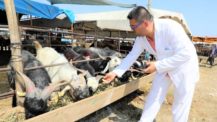 Adana Yüreğir’de kurban satış ve kesim yerleri belli oldu