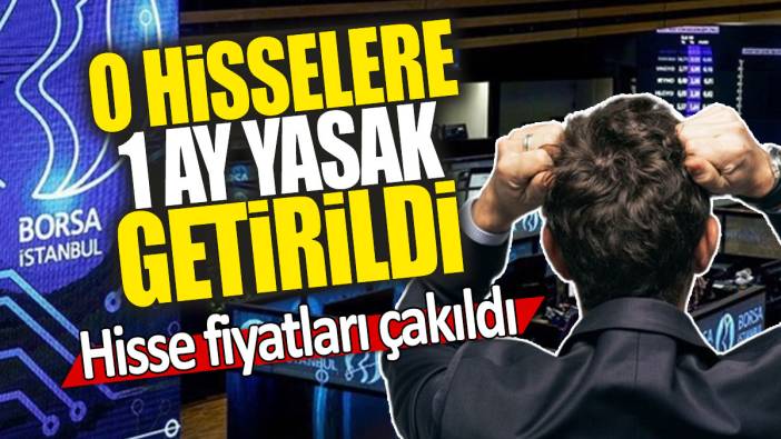O hisselere 1 ay yasak getirildi: Hisse fiyatları çakıldı