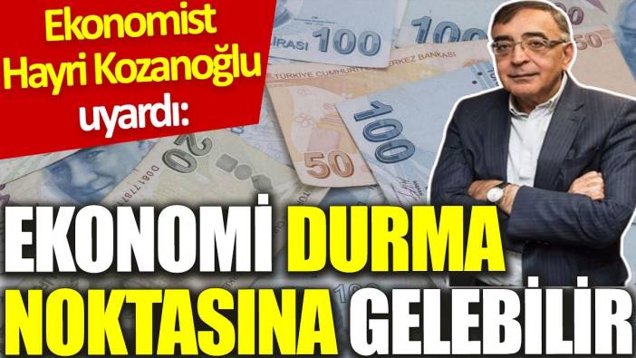 Ekonomist Hayri Kozanoğlu uyardı: Ekonomi durma noktasına gelebilir