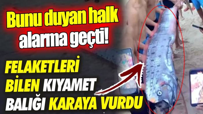 Felaketleri bilen kıyamet balığı karaya vurdu ‘Bunu duyan halk alarma geçti’