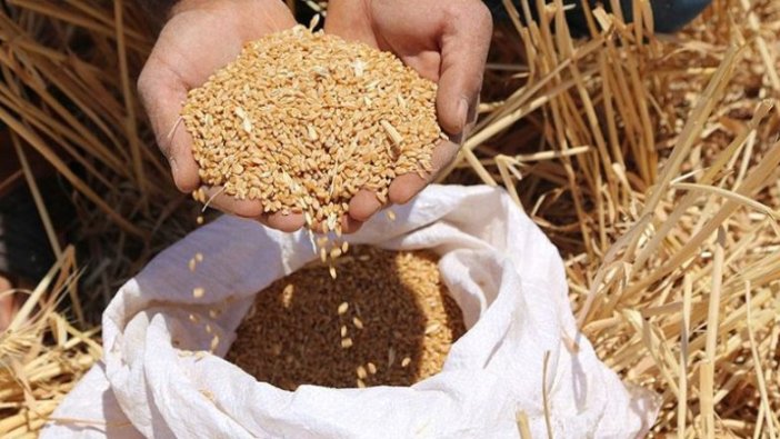 'Türkiye, buğdayda kurak seneler için hazırlık yapmalı'