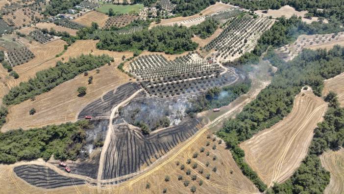 Adana'da anızda çıkan yangın ormana sıçradı