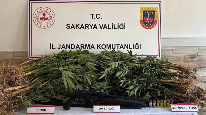 Sakarya'da uyuşturucu operasyonu: 5 gözaltı