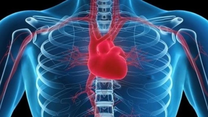 Kalp çarpıntısının nedeni feromon hormonu olabilir