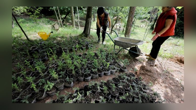 Saraybosna'da 251 şehit anısına 251 fidan dikildi