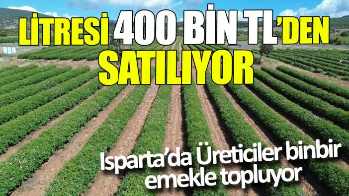 Litresi 400 bin TL’den satılıyor ‘Isparta’da Üreticiler binbir emekle hazırlıyor’