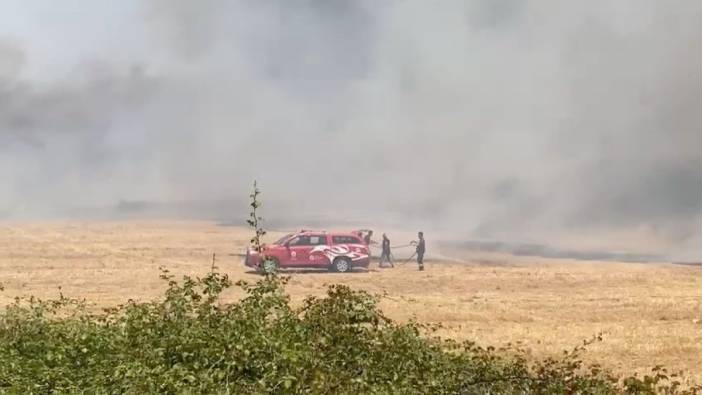 Antalya'da anız yangını meydana geldi