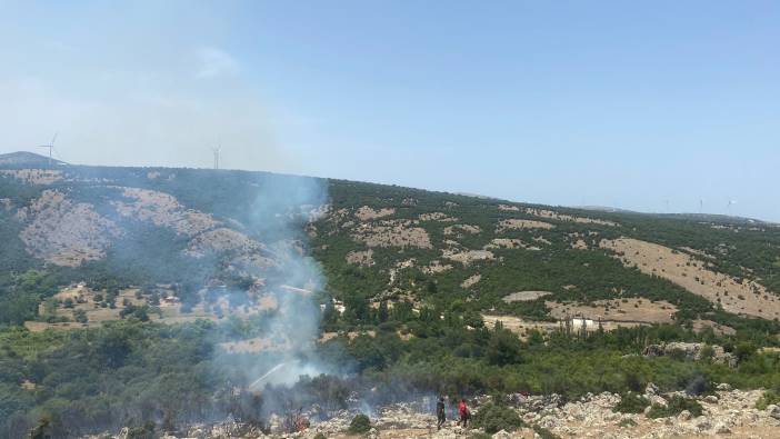 Çanakkale'de yangın