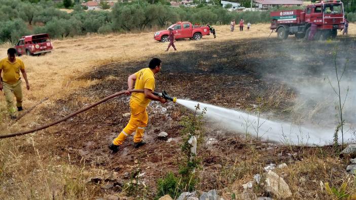 Menteşe'de otluk alanda yangın