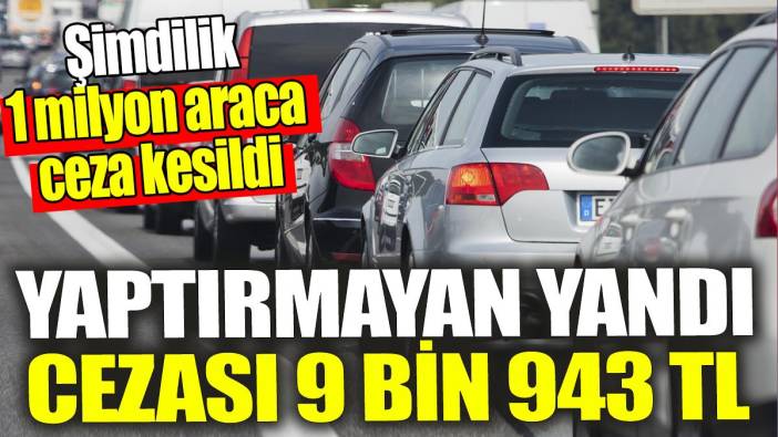 Yaptırmayan yandı cezası 9 bin 943 TL! Şimdiye kadar 1 milyon araca ceza kesildi