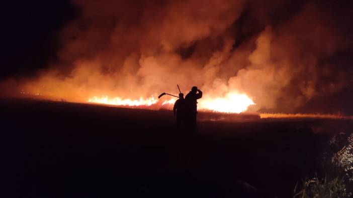 Şanlıurfa'da yüzlerce dönüm arazi kül oldu