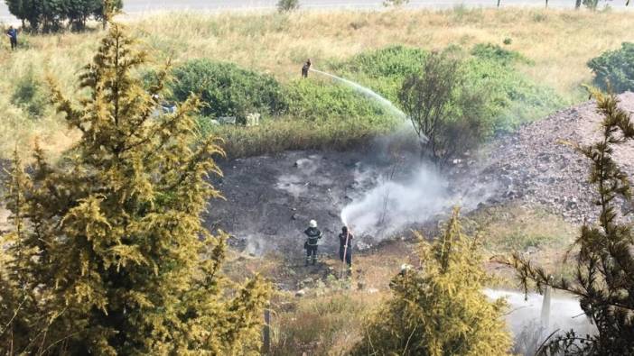 Kocaeli'de çam ağaçları yandı