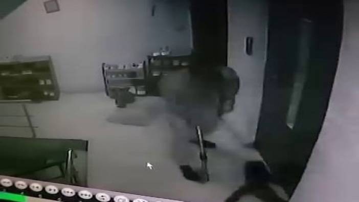 Kediye apartmanda sopayla saldırdı