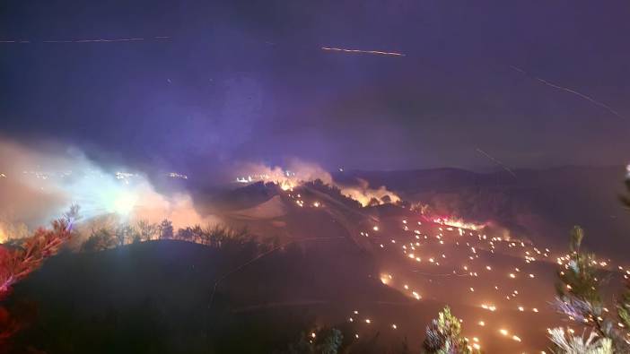 Adana'da orman yangını