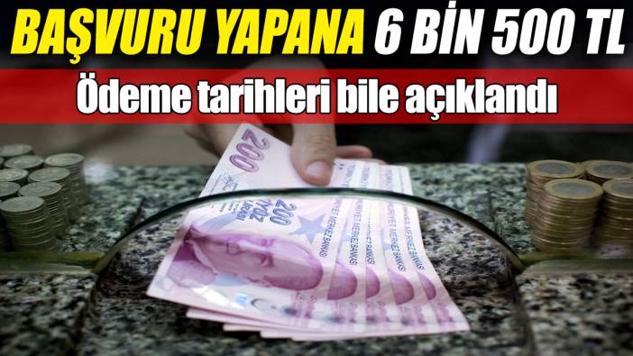 Başvuru yapana 6 bin 500 TL! Ödeme tarihleri bile açıklandı