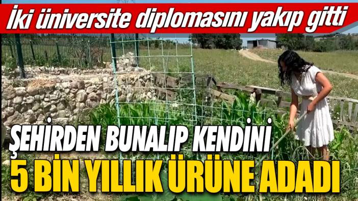 İki üniversite diplomasını yakıp gitti! Şehirden bunalıp kendini 5 bin yıllık ürüne adadı