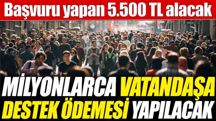 Milyonlarca vatandaşa destek ödemesi yapılacak! Başvuru yapan 5.500 TL alacak
