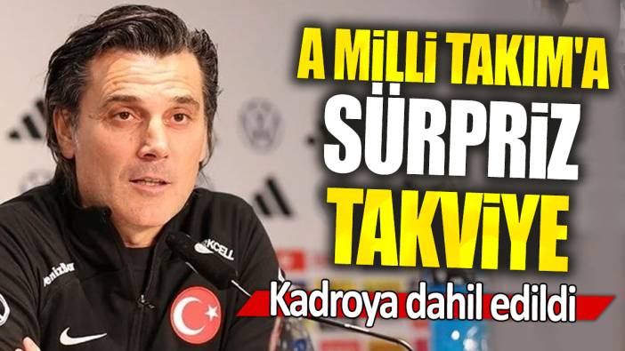 A Milli Takım'a sürpriz takviye: Kadroya dahil edildi