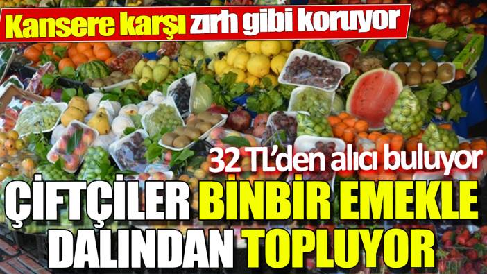 Çiftçiler binbir emekle dalından topluyor ‘32 TL’den alıcı buluyor’ Kansere karşı zırh gibi koruyor