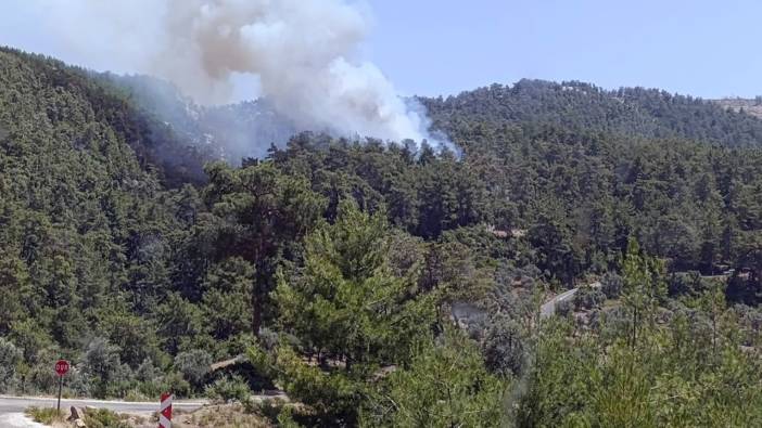 Muğla'da orman yangını