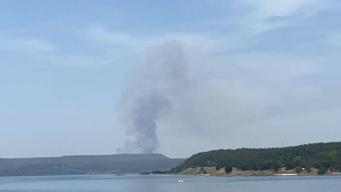 Çanakkale'de orman yangını 'Çok sayıda ekip sevk edildi'