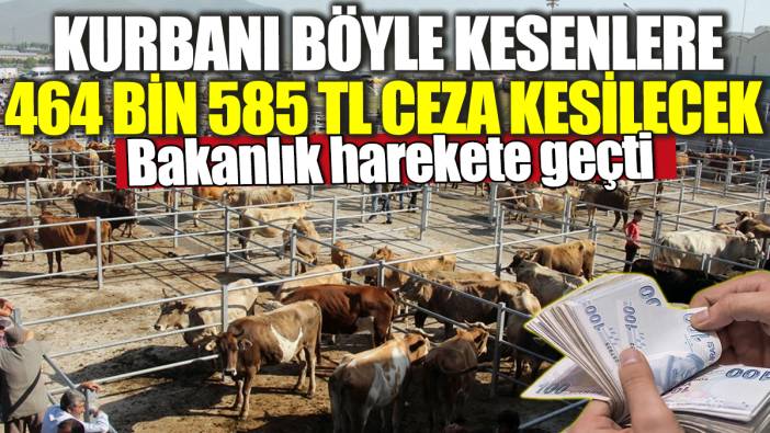 Kurbanı böyle kesenlere 464 bin 585 TL ceza kesilecek! Bakanlık harekete geçti