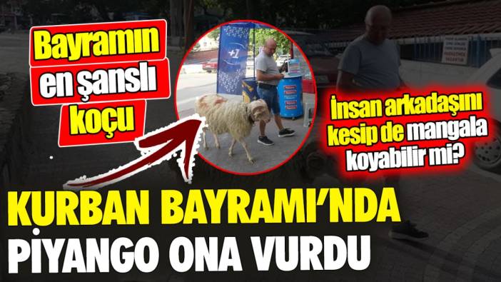 Kurban Bayramı’nda piyango ona vurdu ‘Bayramın "en şanslı koçu" İnsan arkadaşını kesip de mangala koyabilir mi?