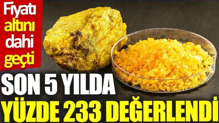 Fiyatı altını dahi geçti: Son 5 yılda yüzde 233 değerlendi