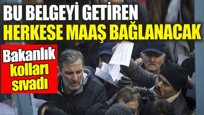 Bu belgeyi getiren herkese maaş bağlanacak: Bakanlık kolları sıvadı