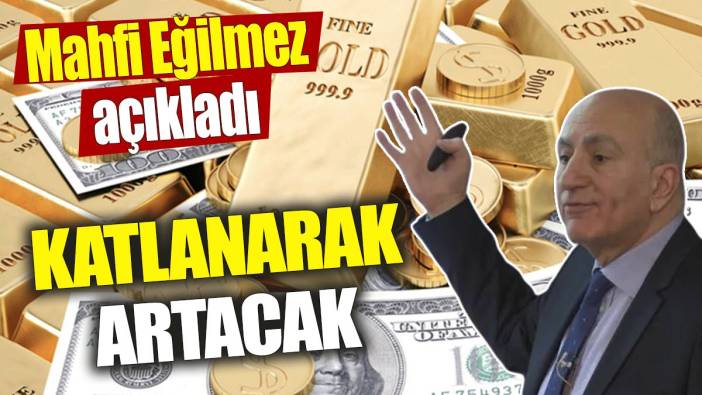 Mahfi Eğilmez: Katlanarak artacak
