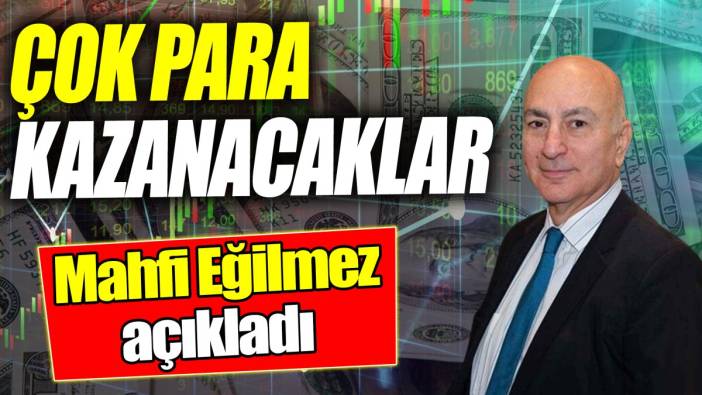 Mahfi Eğilmez: Çok para kazanacaklar
