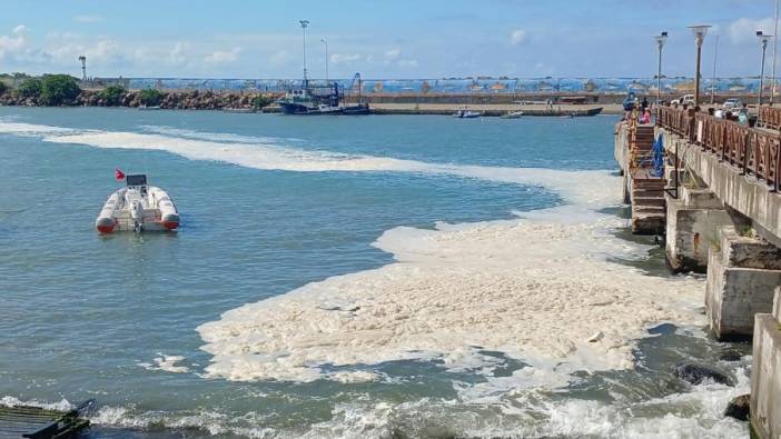 Karadeniz'de müsilaj oluşumu dikkat çekti