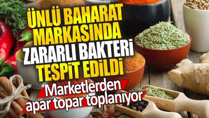 Ünlü baharat markasında zararlı bakteri tespit edildi: Marketlerden apar topar toplanıyor